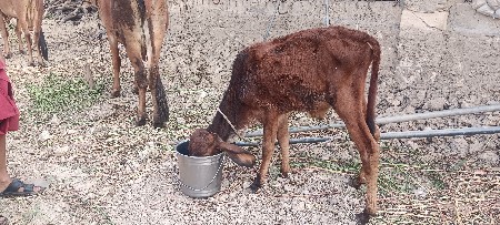 थंबनेल 2