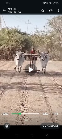 ગોંઢલાવેચવાનાછે સુરુભા  નાનાખડબ