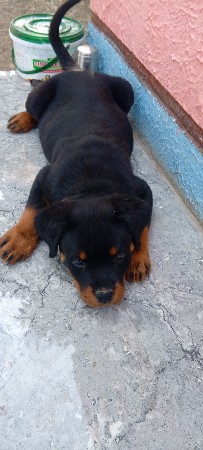 थंबनेल 3