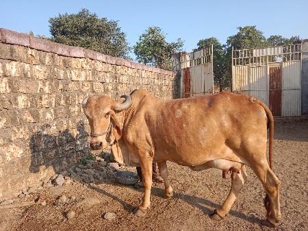 थंबनेल 3