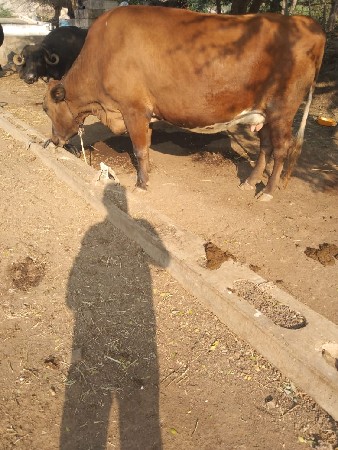 थंबनेल 2