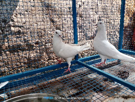 थंबनेल 2