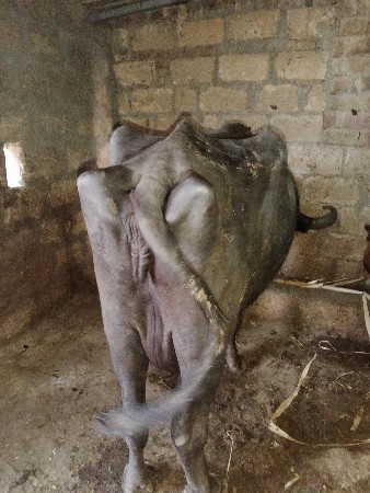 थंबनेल 3