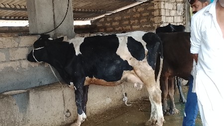 थंबनेल 3