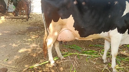 થંબનેલ 3