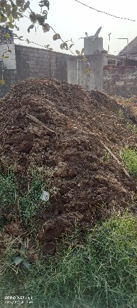 સાણીયૂ ખાતર વેસવાનું છે