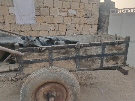 थंबनेल 2