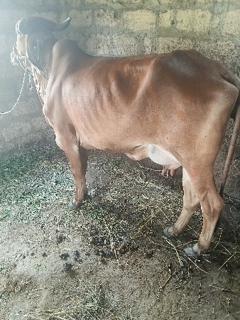 थंबनेल 2