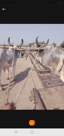 थंबनेल 3