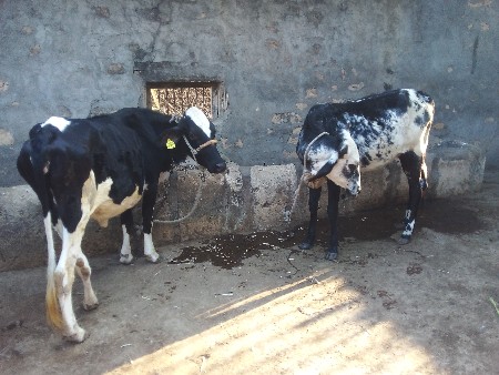 थंबनेल 2