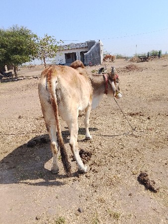 थंबनेल 2