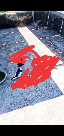 મોજારો નર વેચવાનો છે