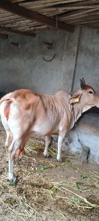 थंबनेल 2