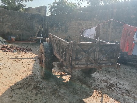 थंबनेल 3