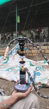 આ હોક્કો આપી દેવાનો છે