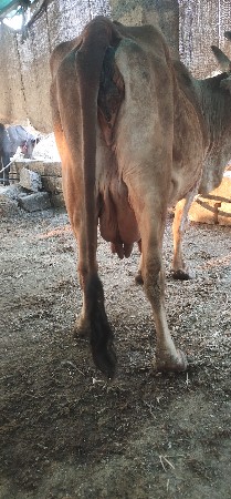 थंबनेल 2