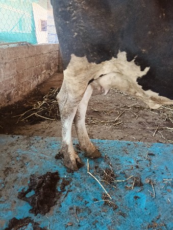 थंबनेल 2