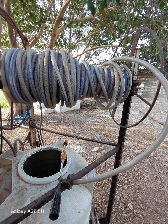 12 mmની પાપ દવાસાટવા ની