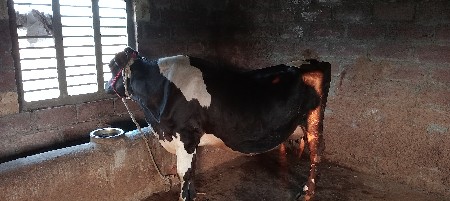 थंबनेल 3