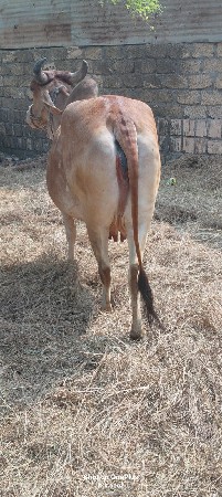 थंबनेल 3