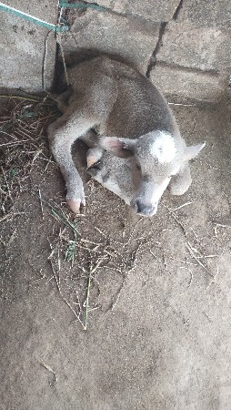 थंबनेल 3