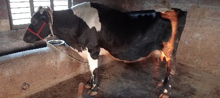 थंबनेल 2