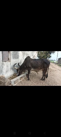 थंबनेल 2