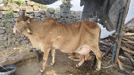 थंबनेल 2