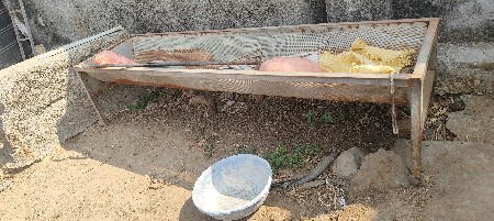 થંબનેલ 3