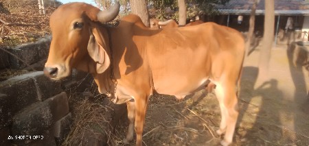 थंबनेल 2