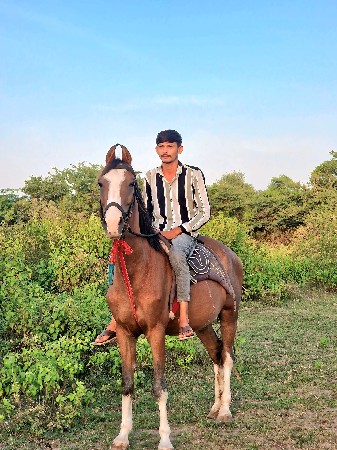 થંબનેલ 2