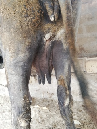 થંબનેલ 3