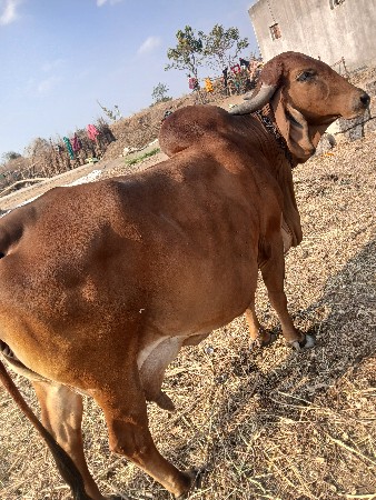 थंबनेल 2