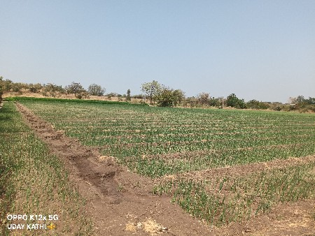 17 વીઘા જમીન વેચવાની છે  30 ફૂટે ક