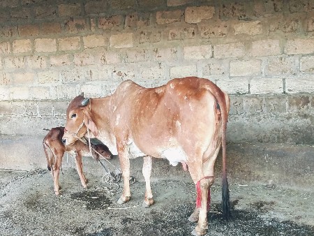 थंबनेल 2