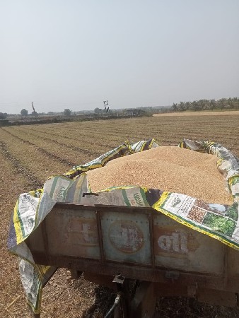 સોલાર માટે જમીન ભાડે આપવાની છે