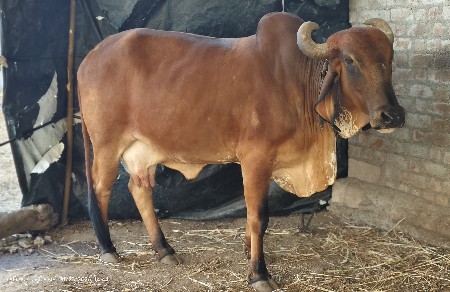 थंबनेल 2