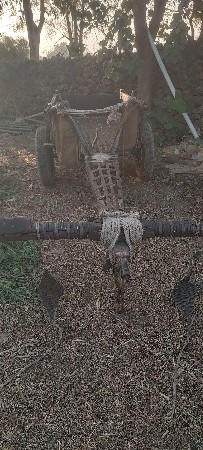 ગાડુ વેચવાનું છે