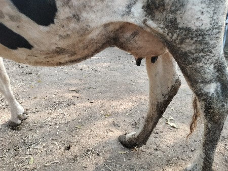 थंबनेल 2