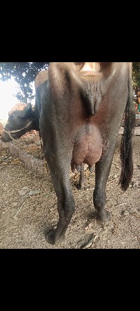 थंबनेल 2