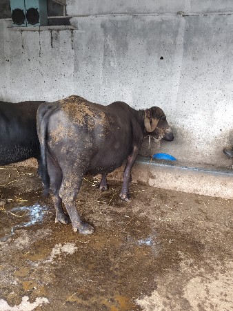 थंबनेल 2