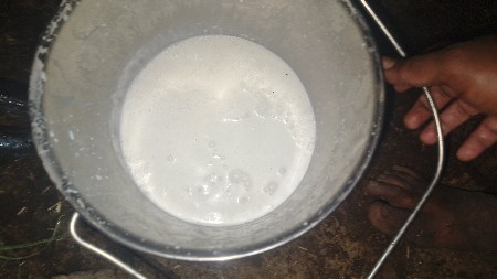 ભેંસ વેચવાની છે