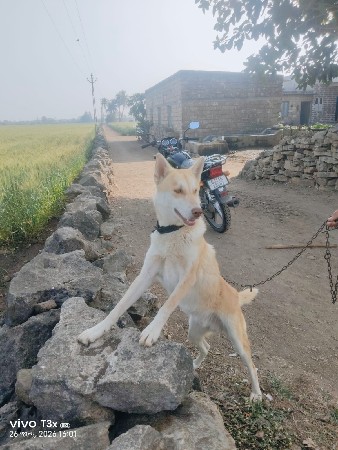 थंबनेल 3