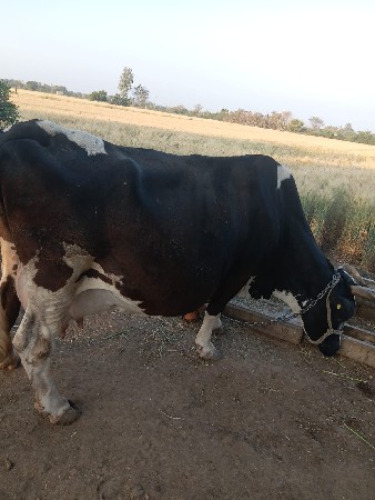 थंबनेल 3