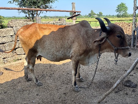 थंबनेल 2