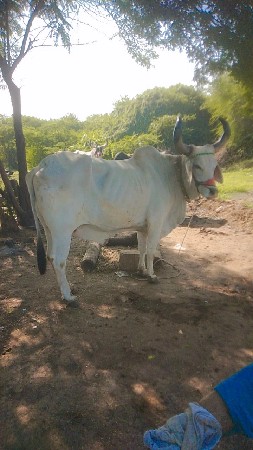 ફુલ જવાબદારી લેવાય તો ફોન કર ખોટા