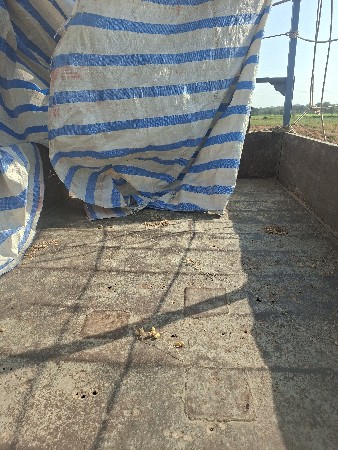 ટોલી વેશવાની છે