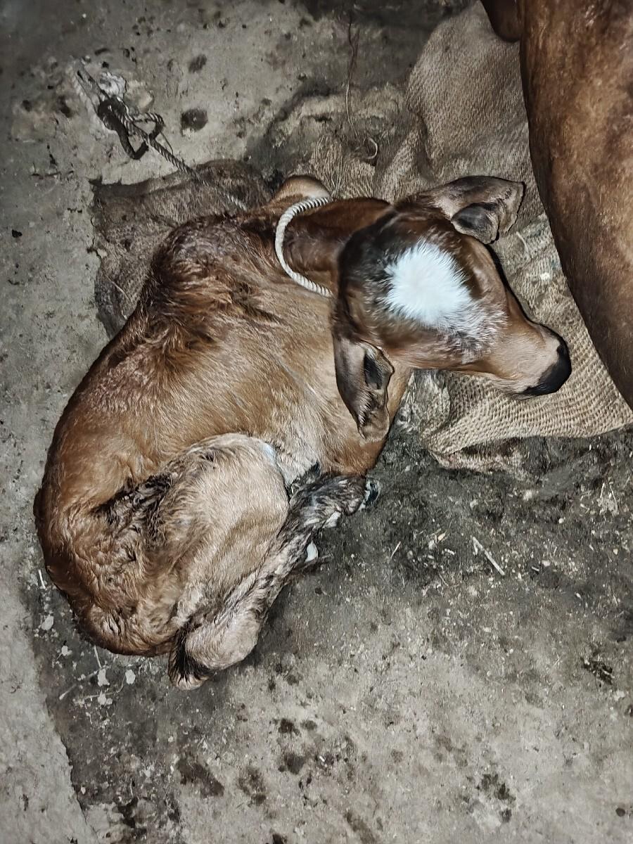 थंबनेल 3