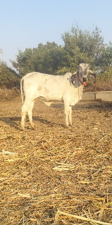 थंबनेल 2