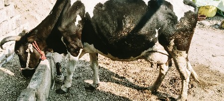 थंबनेल 2